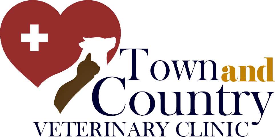 Town And Country Veterinary Clinic